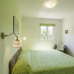 Apartment Popaj